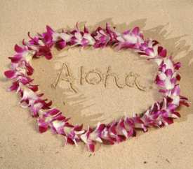 hawaii-aloha