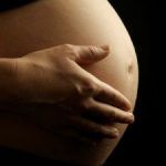 La FELGTB alegará contra la exclusión de las mujeres sin pareja masculina de la reproducción asistida en la sanidad pública