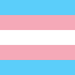 El Congreso aprueba reformar la ley de identidad de género y despatologizar la transexualidad con la oposición del PP